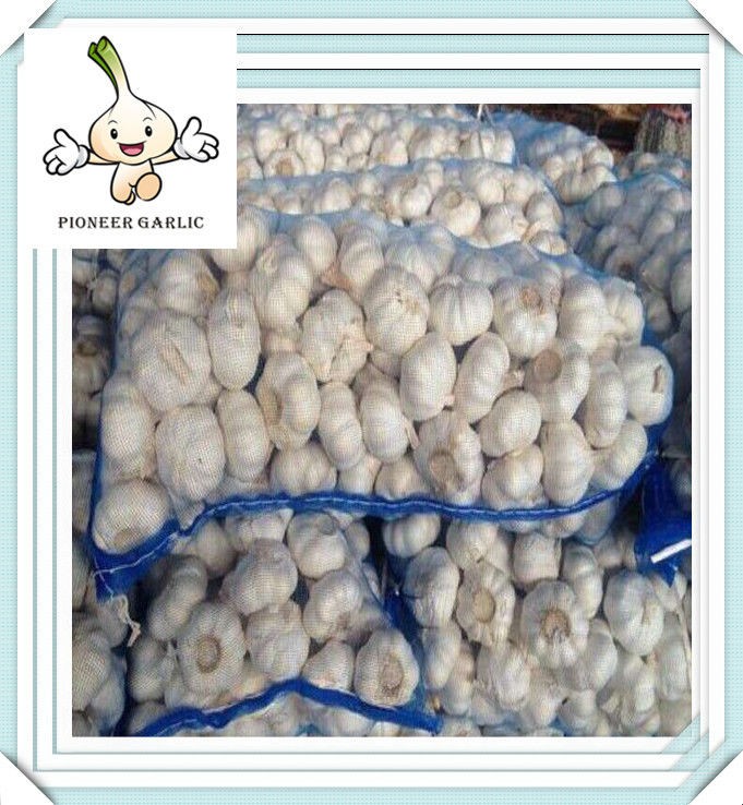 2016 new mesh bag packed normal white fresh garlic