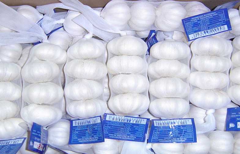 Beneficios para la salud del ajo fresco orgánico medicinal/Allium Sativum para la hiperlipidemia