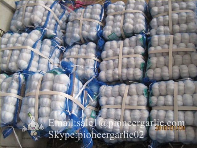 2022 New Crop 5cm Normal White Fresh Garlic 10kg Mesh Bag Packing