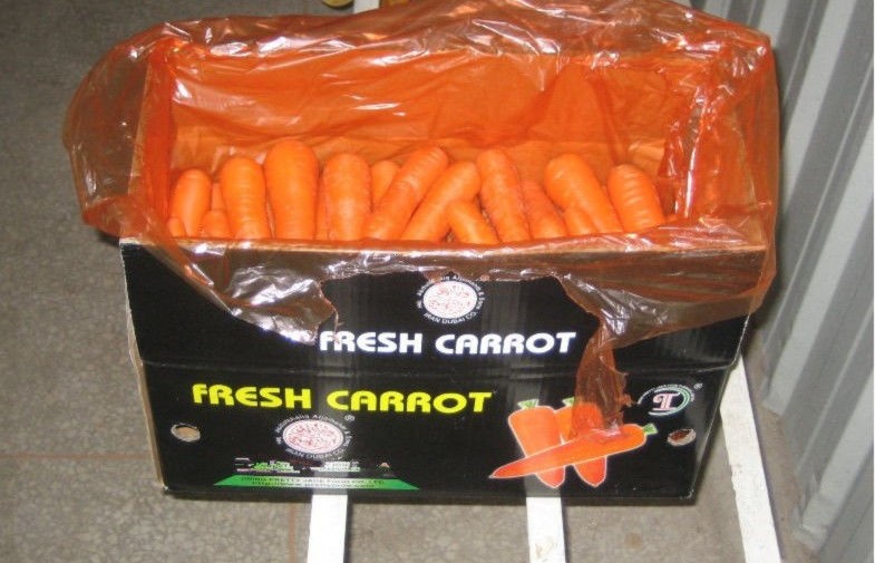 Pure Natural Fresh Organic Carrot Contains Vitamin C , Folic Acid