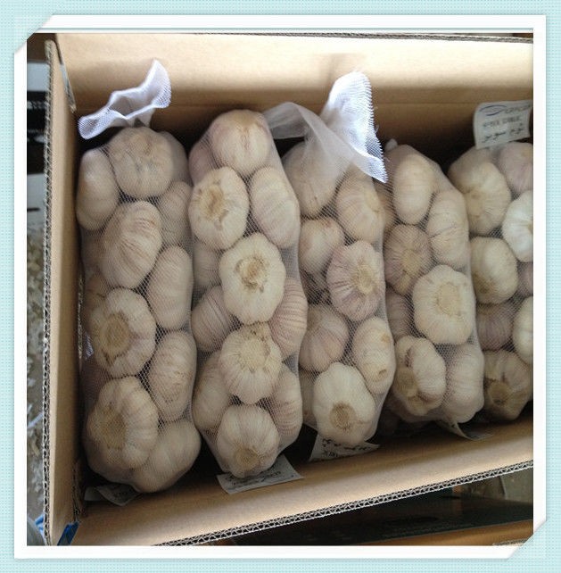 Fresh Red Garlic 5.0CM, Normal White 10Kg Carton, Super Garlic For Export