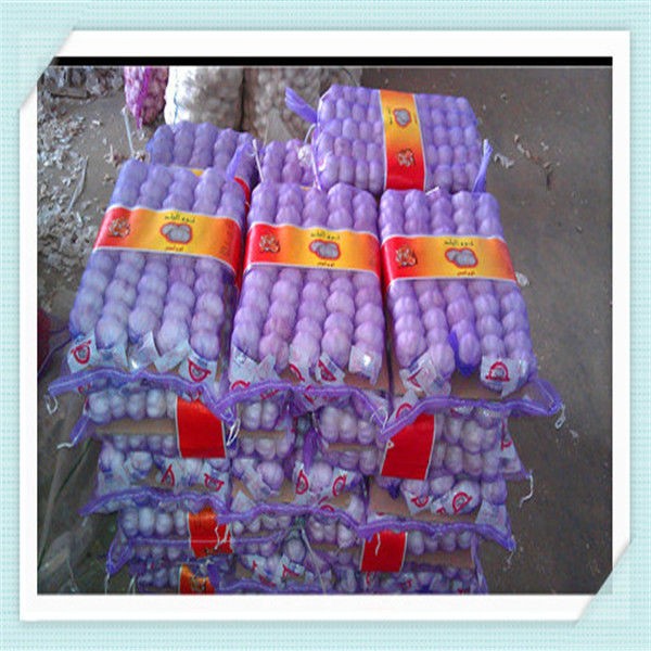 Red Garlic, Purple Garlic for Colombia, 10kg/bag or 10kg/carton