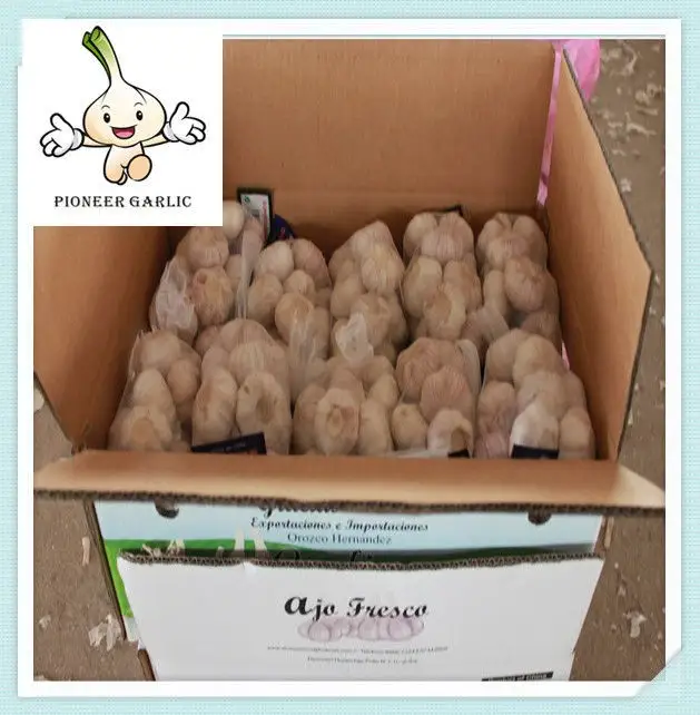 Big Size Bulk Packing 10Kg Carton Fresh Normal White Garlic For HAITI