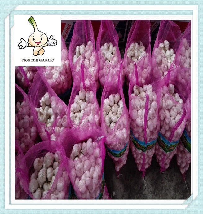 New design cheapest products china fresh pure white garlic