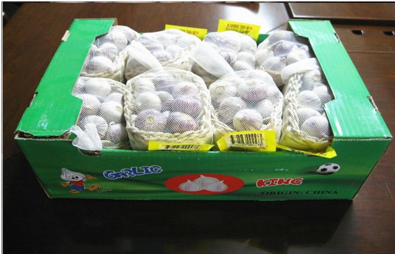 ajo fresco chino 2022 ajo nuevo chino