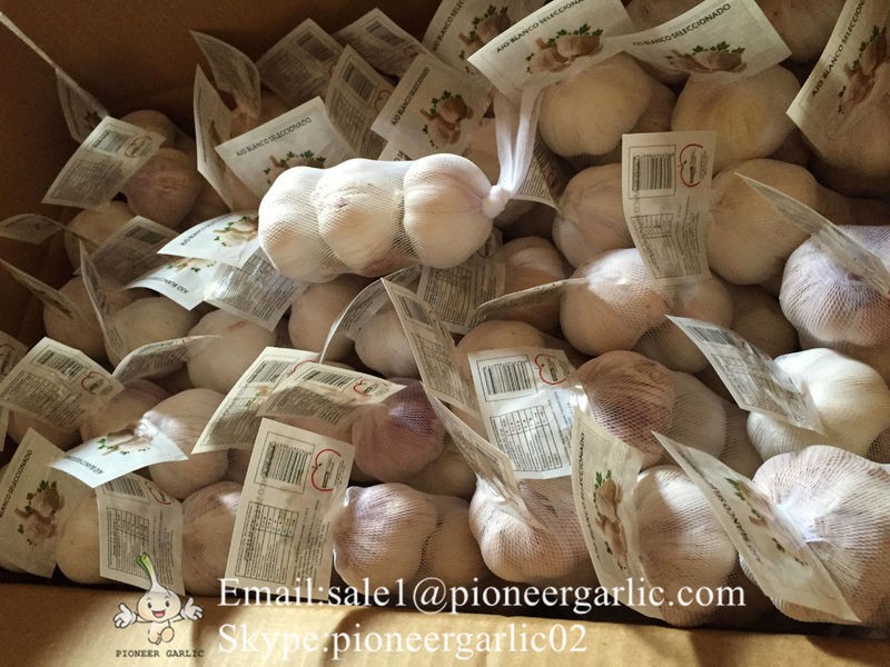 New Crop Chinese 5cm Pure White Fresh Garlic Small Packing In Mesh Bag