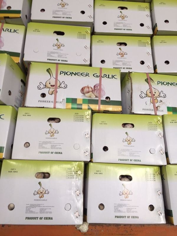2017 year new crop china garlic with lower price