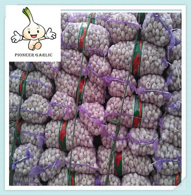Ajo fresco morado pequeño de 10 kg/granja de ajo de China/importadores de ajo