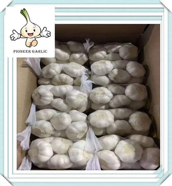 Professional supplier new model fresh white garlic best price high quality white garlic