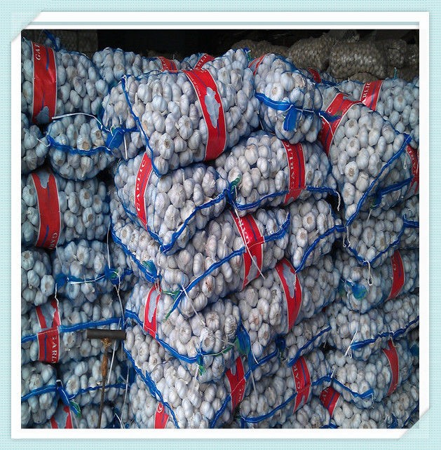 2015 New Shandong Fresh Garlic, china natural 10kg carton garlic price