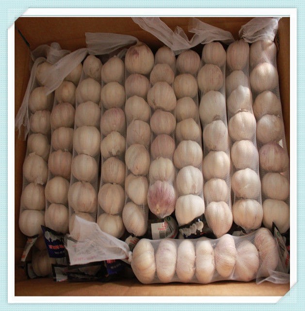 Hot sale top quality best price fresh pure white garlic Chinese new garlic