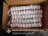 Chinese Fresh Normal White Garlic Small Packing