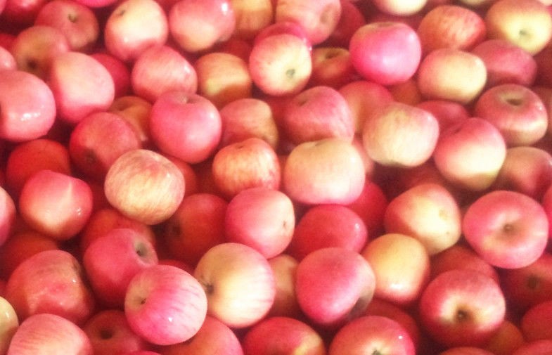 Red Fresh Organic Fuji Apple