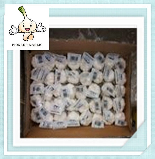 economical favorable price and cute fresh garlic new crop chinese white garlic