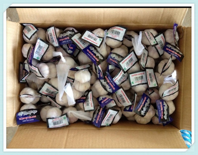 New Crop Fresh Garlic import china garlic low price