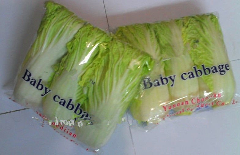 Long White Chinese Napa Cabbage Contains Folic Acid With Smooth Surface For Preserve, Delicate quality, Fleshy sweet