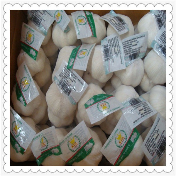 2015 fresh pure white garlic with lowest price garlic price in china