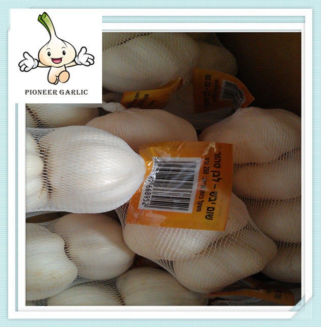 10Kg Mesh Bag Wholesale Garlic Factory Wholesale Pure white garlic price