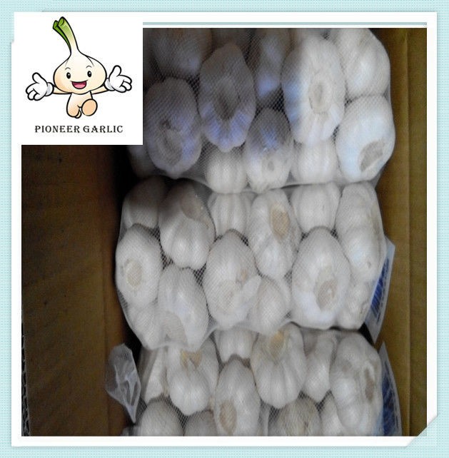 Jinxiang Top Quality Fresh Pure White Garlic 5.5CM In 10Kg Carton