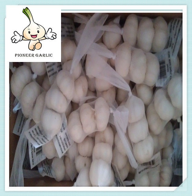 Chinese good quality of fresh pure white garlic Super White Garlic 5.5Cm 4Pcs/Bag