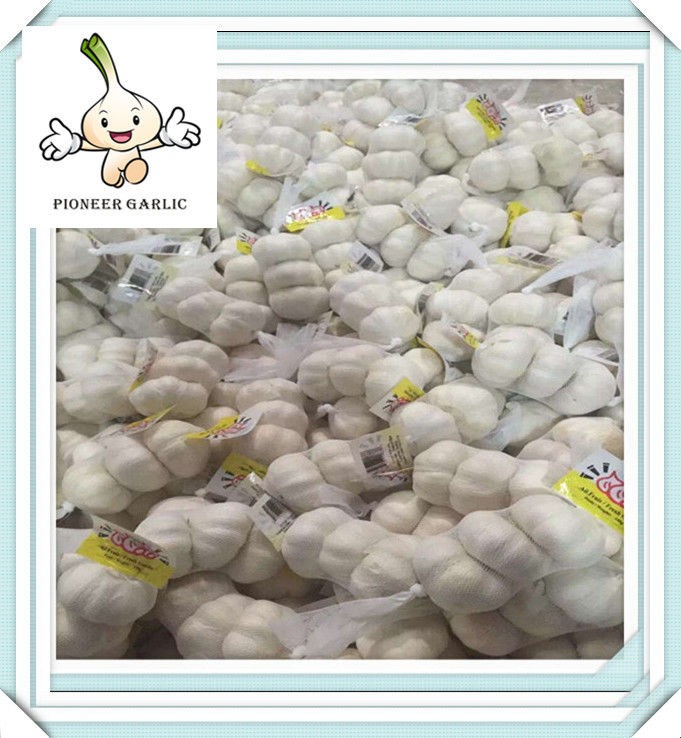 Health food fresh garlic in Chinese wholesale 5.0 by 10kg carton