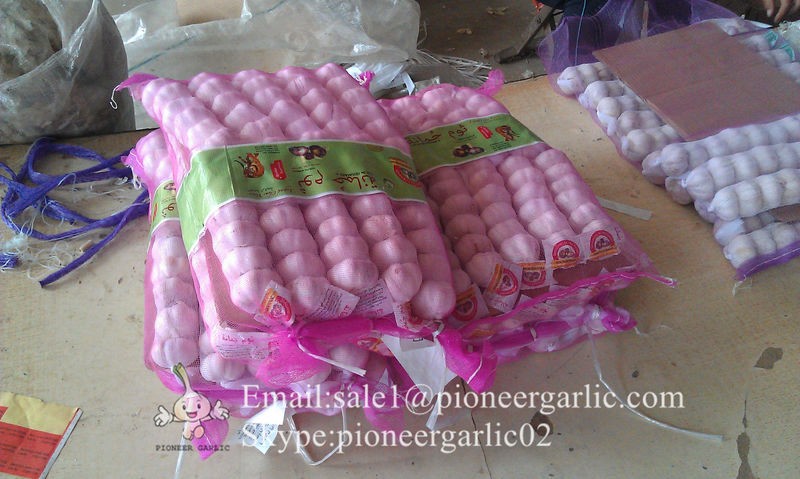 Best Quality Chinese 5.5cm Purple Garlic Packed In Mesh Bag