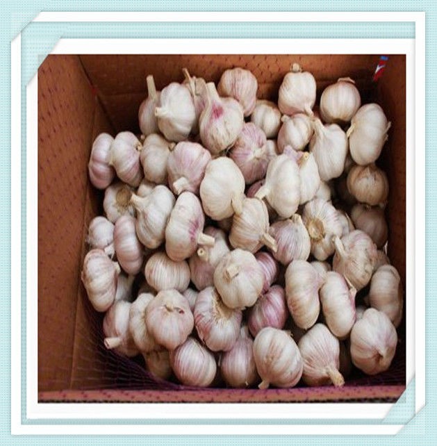 Red Garlic and White Garlic 2015 Chinese Fresh Normal Natural Garlic