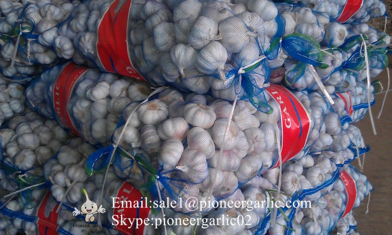 Chinese Fresh Normal White Garlic Packed In Mesh Bag