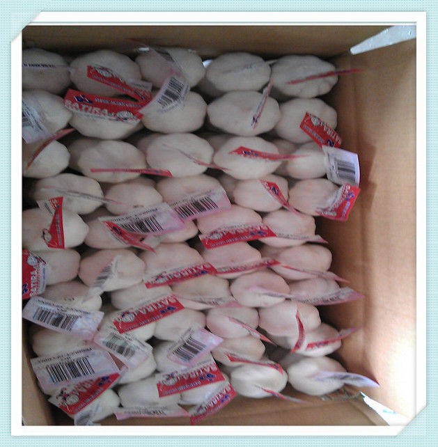 5.0cm Cheap white garlic of 7kg / 8kg / 10kg / 20kg mesh bag