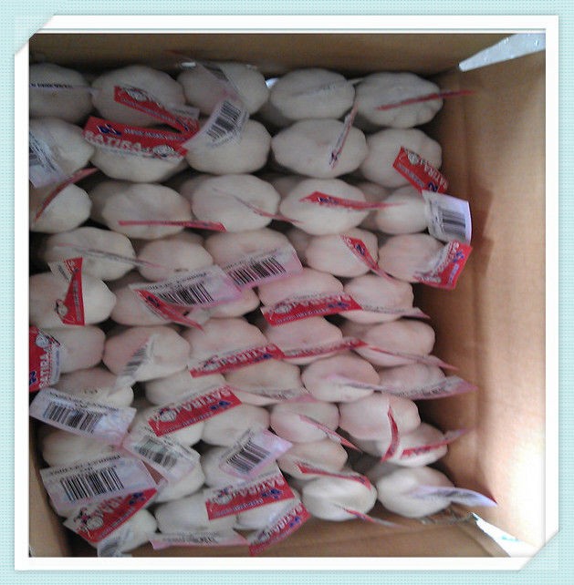 2015 Chinese natural garlic price, fresh natural garlic jinxiang