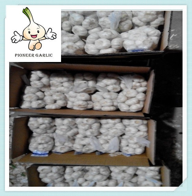 2015 newest favorable price and cute fresh pure white garlic