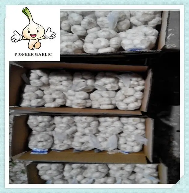 cold store fresh normal white pure garlic 5.0cm 2015 year