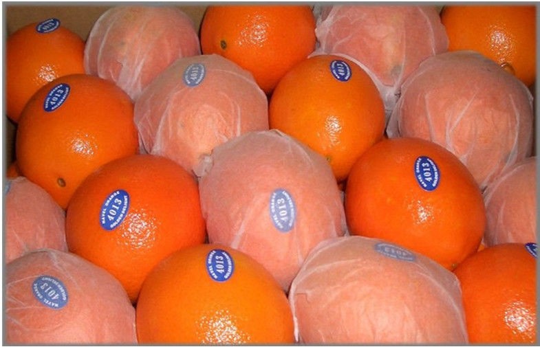 Juicy Fresh Blood Navel Orange Contains Vitamin E , Choline For Supermarket, bright color, Fruit color orange red