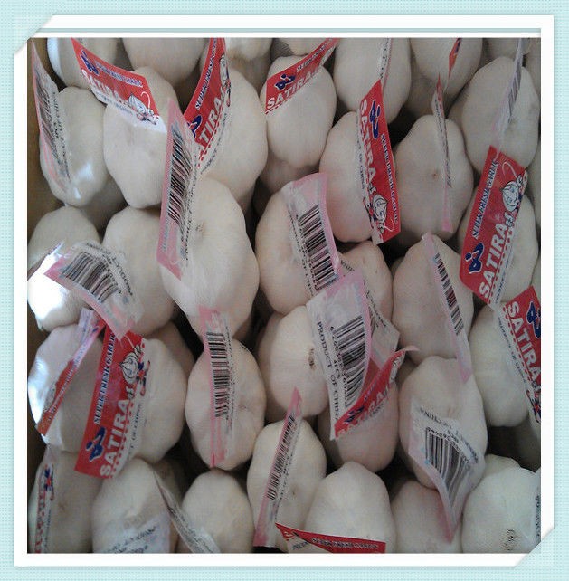 pure white garlic for exporting, fresh normal white garlic