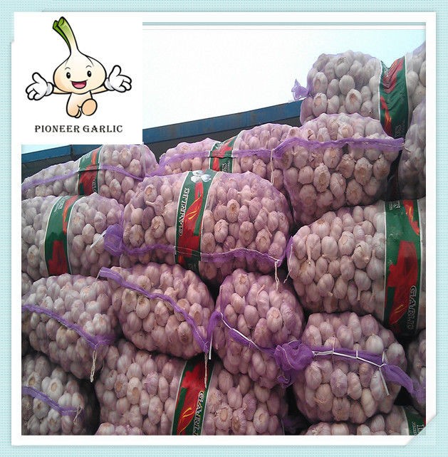 Ajo natural blanco fresco: gran oferta, recién llegado de ShanDong