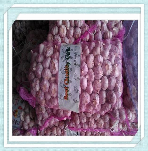 China Fresh ginger and Garlic  fresh white garlic from china