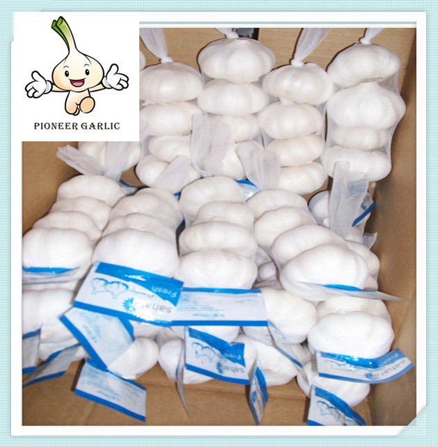 Normal White Garlic-- Chinese Galic Fresh and Cheapest Price (5-6.0cm)