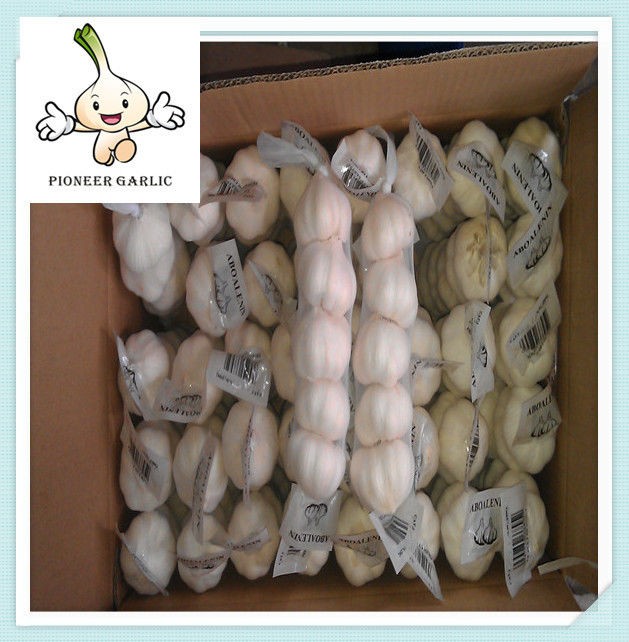 New Stytle Fresh Garlic With Top Quality 2015 new garlic price in china