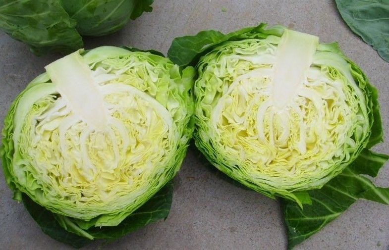 Contains Carotenes , Thiocyanates Round Chinese Napa Cabbage Low Calories