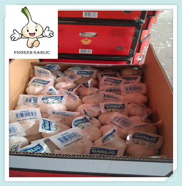 Jinxiang 4.5CM 10Kg Mesh Bag normal white garlic price in china 2015 new garlic