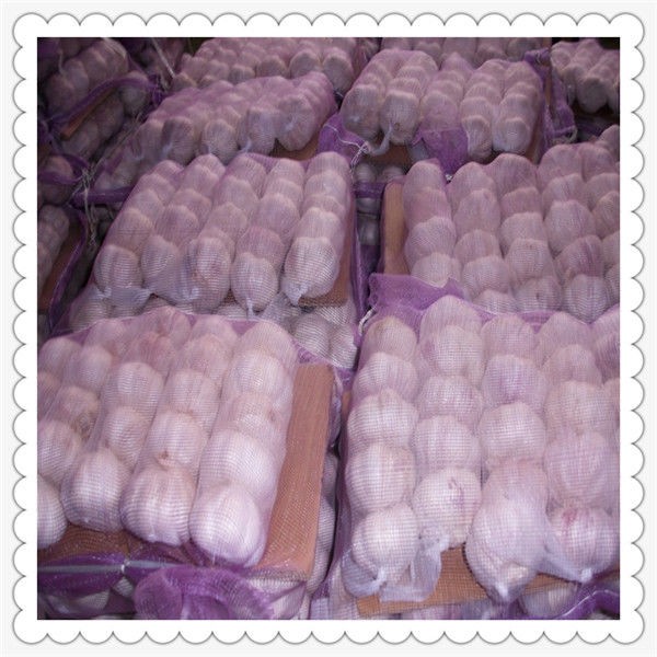 new crop fresh garlic Fresh garlic in small mesh bag in bag