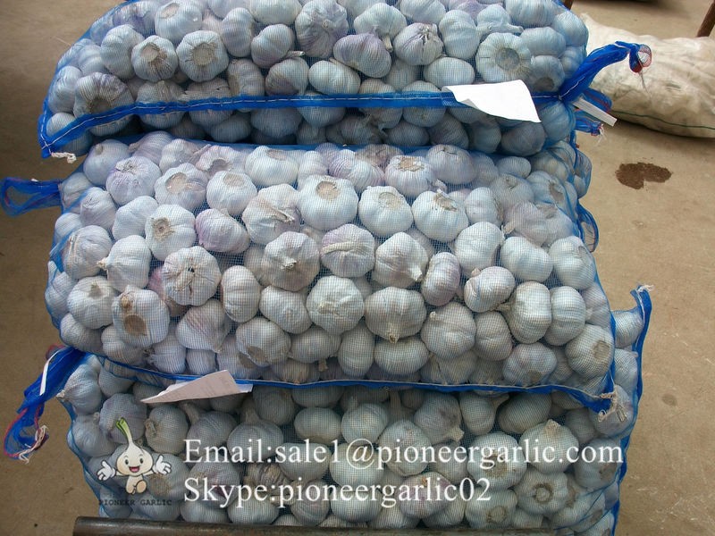 2022 New Crop 4.5cm Normal White Fresh Garlic 10kg Mesh Bag Packing