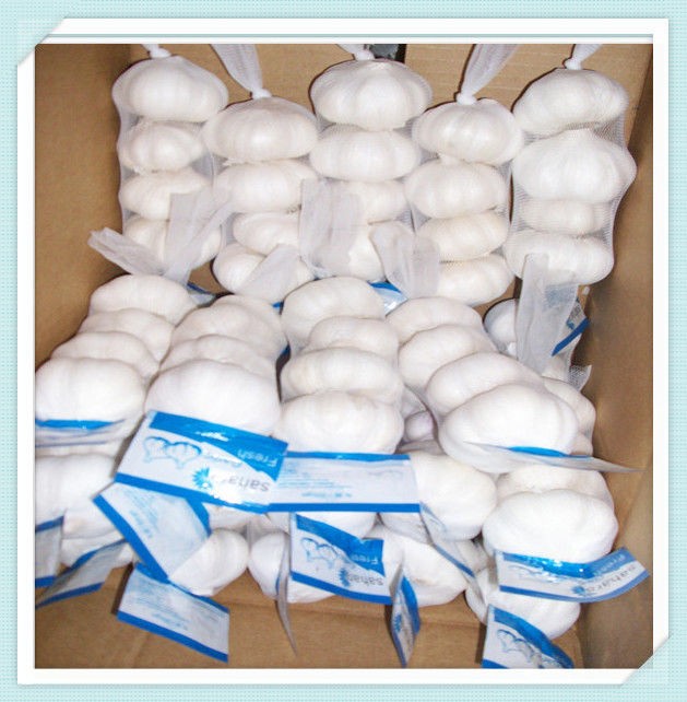 2015 China Fresh Pure Garlic Price 10kg mesh bag Pure White Garlic
