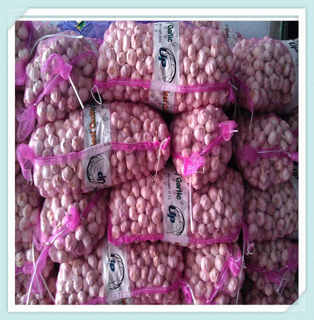 Chinese Jinxiang New Crop Pure White Garlic Pure & Normal White Garlic