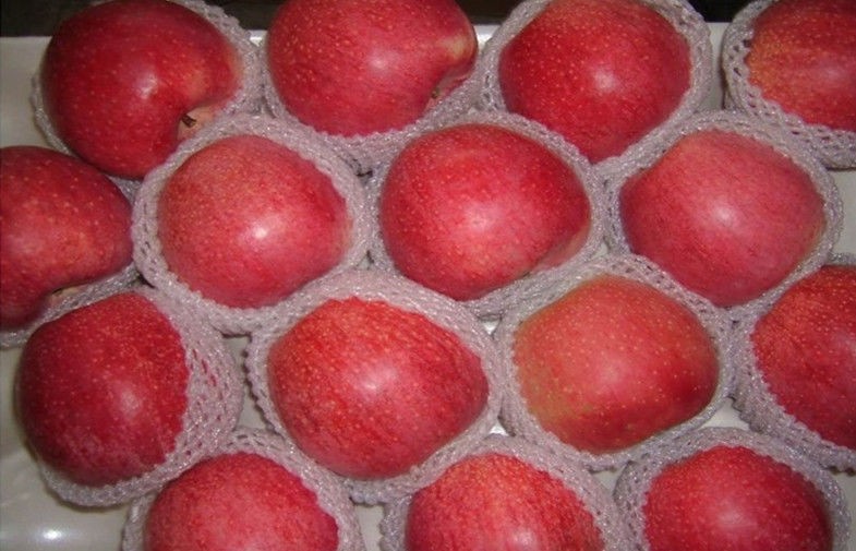 Big Bright Red Sweet Organic Apple Thick Skin From Shanxi QinGuan For Storage