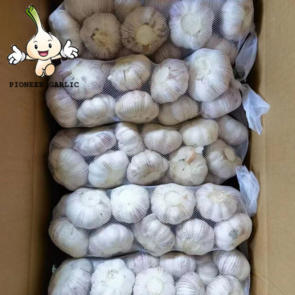 2022, stored normal garlic best chinese price garlic From China