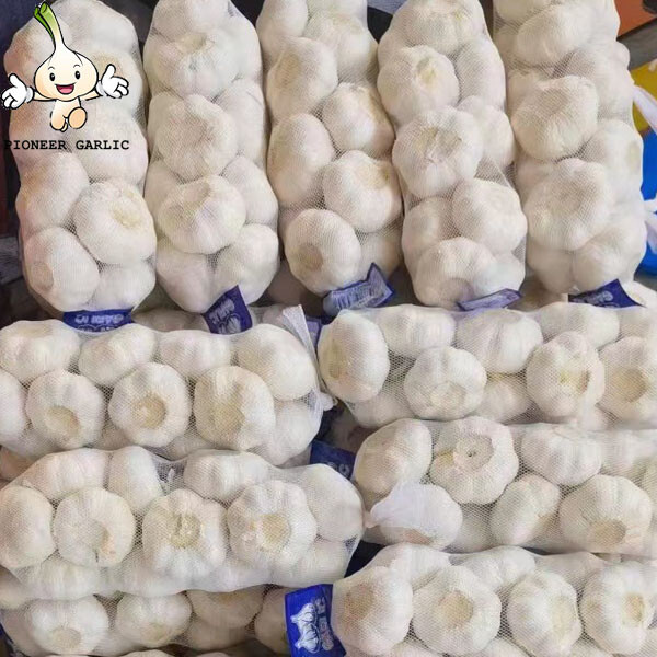 Bulk Packing Price Of Fresh Chinese Natural White Garlic