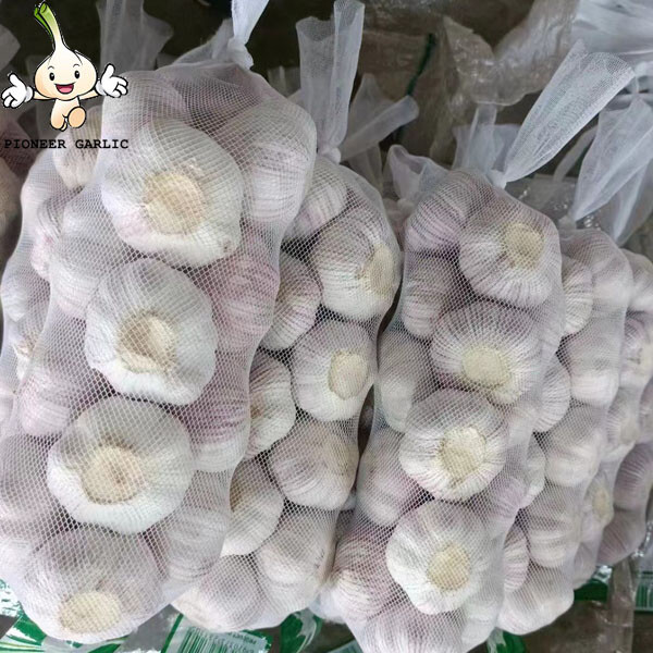 Wholesale Products Natural Garlic Red Fresh Garlic 5.5CM 500G/Bag