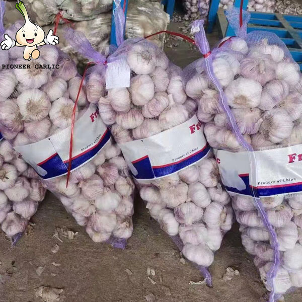 2022 New Crop 5cm Normal White Fresh Garlic 10kg Mesh Bag Packing