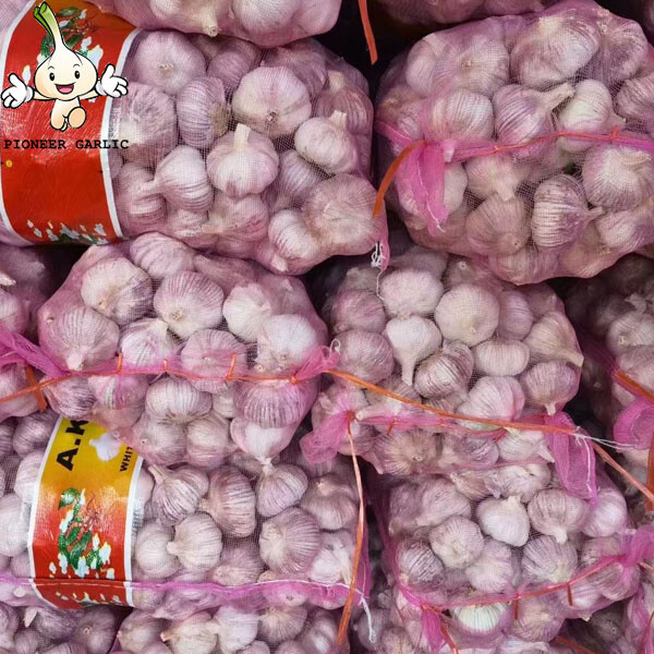 2022 New Crop 4.5cm Normal White Fresh Garlic 10kg Mesh Bag Packing